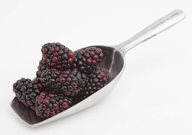 istock Sweet blackberries on shovel 480089554
