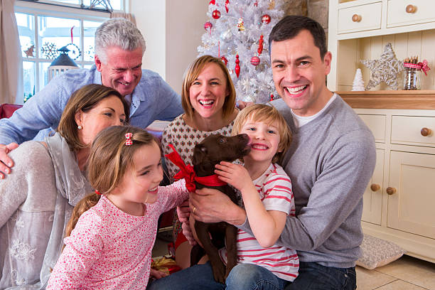 istock Puppy Surprise 480092154