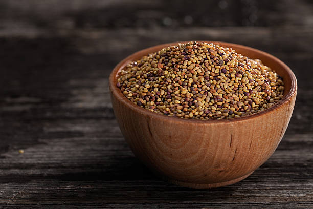 istock Sprouting Seeds in a Wooden bowl 480092815