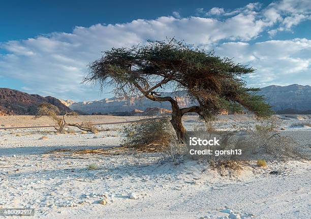 Timna Valley Near Eilat Israel Stock Photo - Download Image Now - Adulation, Arid Climate, Blue