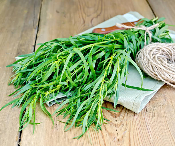 estragão com uma faca e malhas no conselho - tarragon close up herb bunch imagens e fotografias de stock