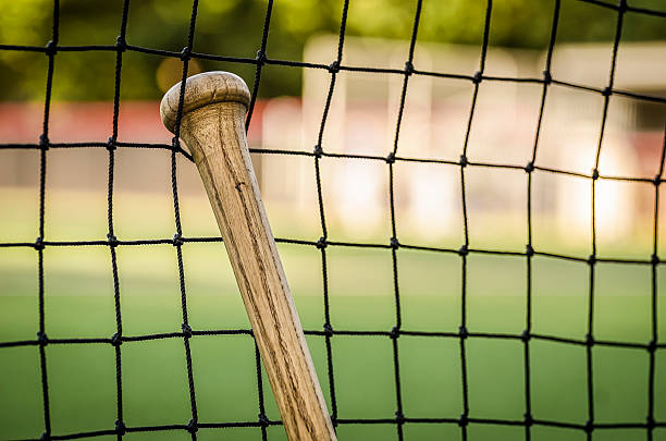 Baseball Bat Leaning Against Dugout Net stock photo