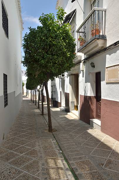 istock Row of trees in white street 480096886