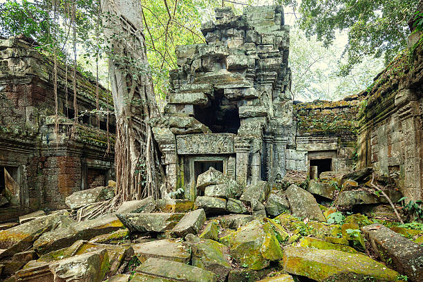 istock Ancient ruins and old trees, Angkor, Cambodia 480097344