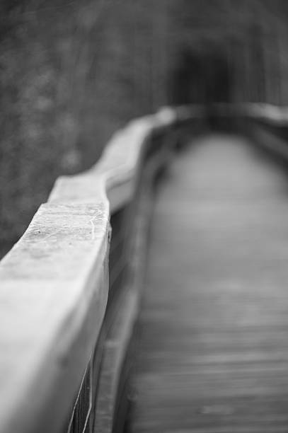 istock Wooden footpath on a swamp 480097791