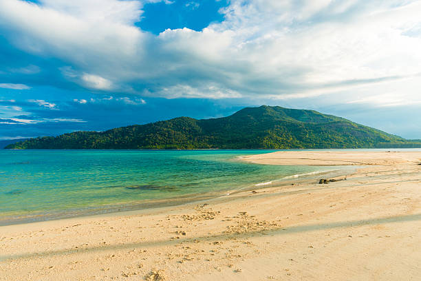 istock Blue sky with beach and tropical sea 480097808