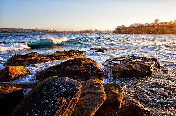 istock Rugged Sydney coastline in late afternoon sun 480097849