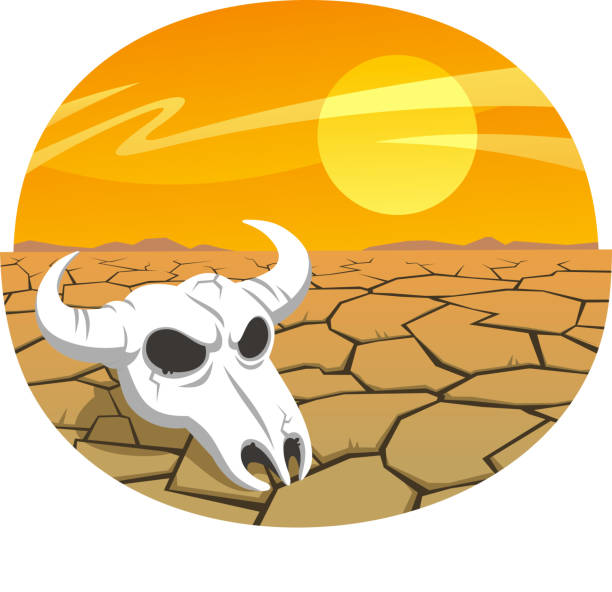 Cow Skull In The Desert At Sunset Stock Illustration - Download Image Now -  Desert Area, California, Bone Fracture - iStock