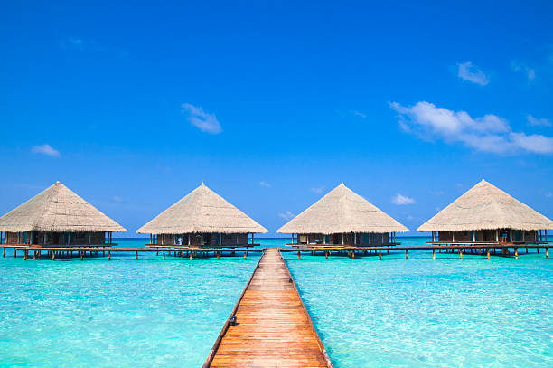 istock Maldives Dock with Wonderful Tropical Beach 480098139