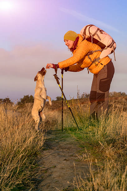 istock Female hiker and dog on pathway 480098776