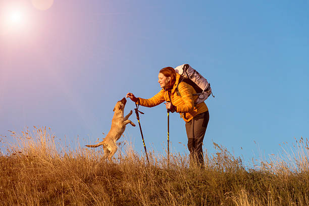 istock Female hiker and dog on pathway 480098780
