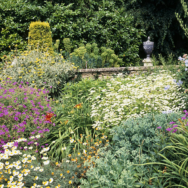 Colourful summer garden flower borders