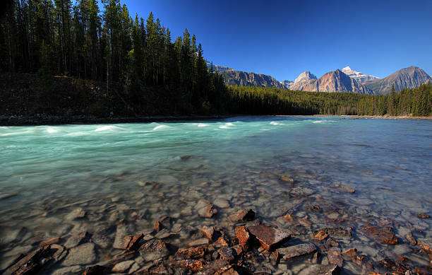 istock Athabasca River in Jasper National Park 480105527