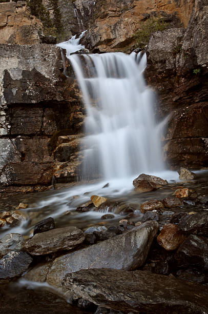 istock Tangle Creek Falls in Jasper National Park 480105569