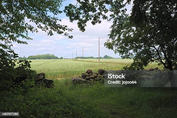 View From Forst Poggendorf Stock Photo - Download Image Now - 2000-2009, 2015, 21st Century