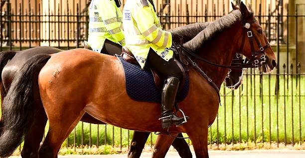 istock Metropolitan Police Service, London 480107918