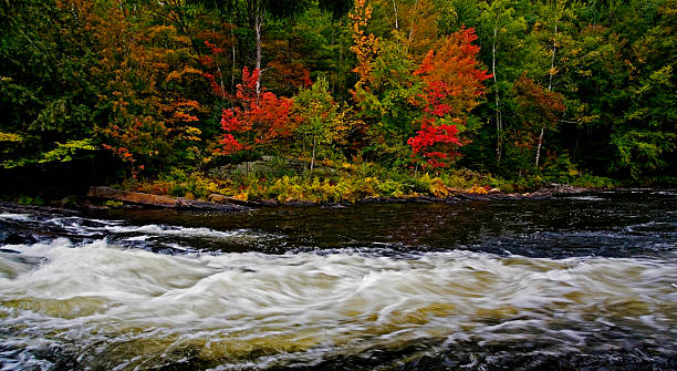 istock Beautiful autumn color along a wild stretch of river 480108314
