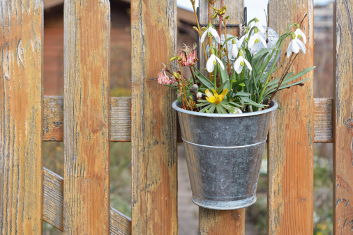 Spring Decorations on a Wooden Picket Fence