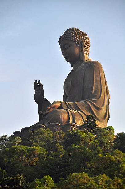 istock Tian Tan Giant Buddha from Po Lin Monastery, Hong Kong 480110962