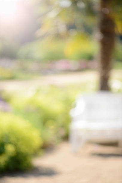 Defocused high res photograph of a tropical park, shot with a 105mm lens and full-frame DSLR, composing background for fashion-photography.