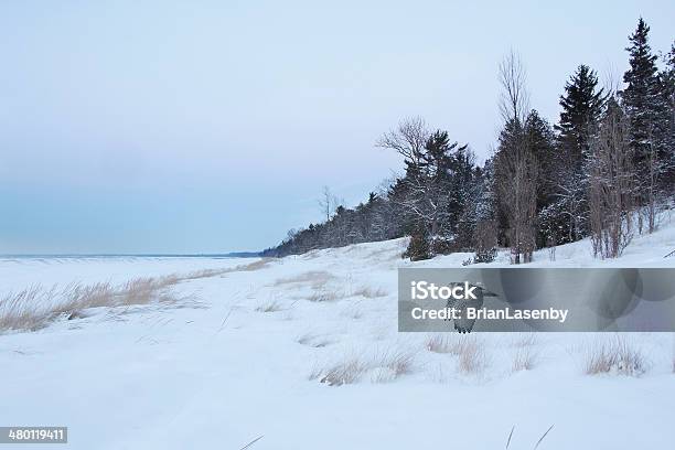 Schneeeule Fliegt Über Gefrorene Beach Stockfoto und mehr Bilder von Huronsee - Huronsee, Kanada, Schnee-Eule