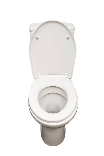 istock Home flush toilet isolated (clipping path) 480121691
