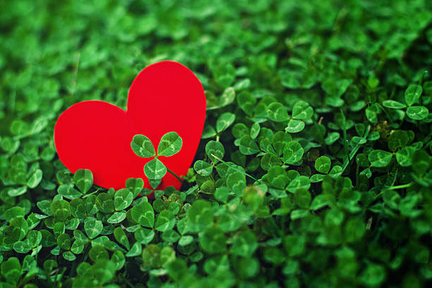 istock Red paper hearts in green clover 480121723