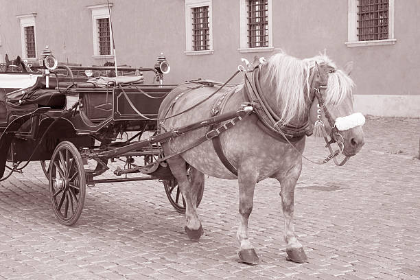istock Horse and Carriage in Castle Square; Warsaw 480122437
