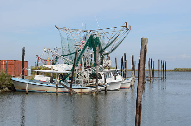 la imbarcazioni - barca per pesca di gamberetti foto e immagini stock
