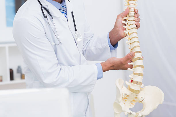 medico con anatomia della colonna vertebrale - ortopedico foto e immagini stock