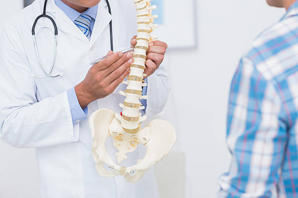 Doctor showing anatomical spine to his patient Doctor showing anatomical spine to his patient in medical office spinous process stock pictures, royalty-free photos & images