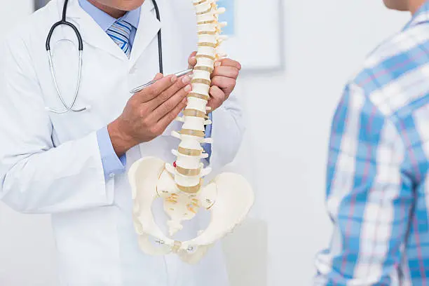 Doctor showing anatomical spine to his patient in medical office 