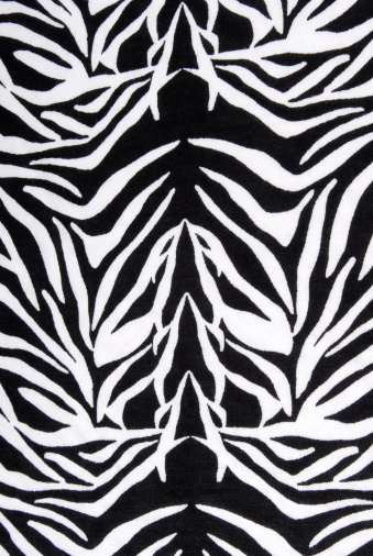 zebra fabric texture pattern