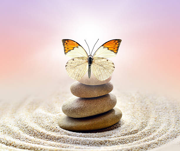 istock Butterfly and stones balance 480126686