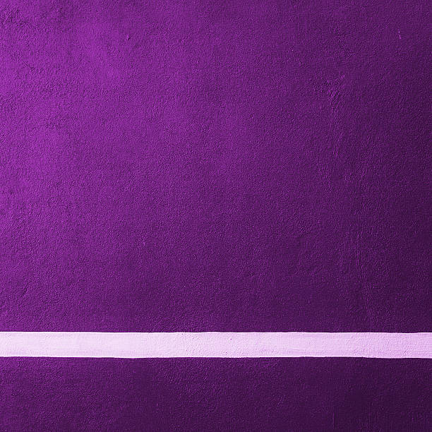 Paddle purple badminton court texture with white line