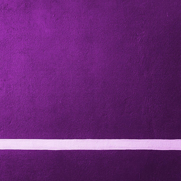 Paddle purple badminton court texture with white line stock photo