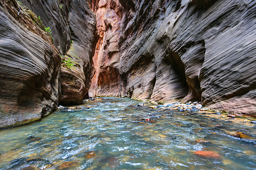 The Watchman and the North Fork Virgin River in Zion National Park, Utah, USA at sunset.