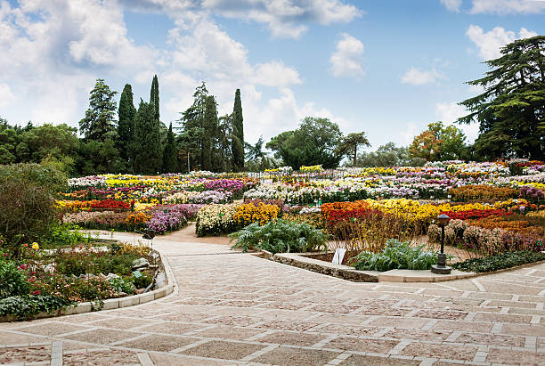 Botanical Gardens, Yalta stock photo