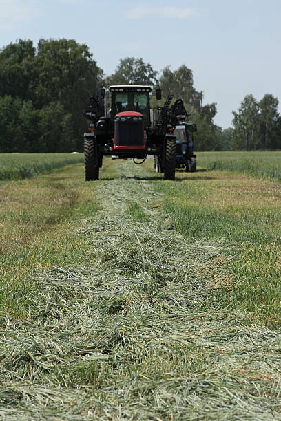 istock combine harvester on a wheat field with a blue sky 480130036