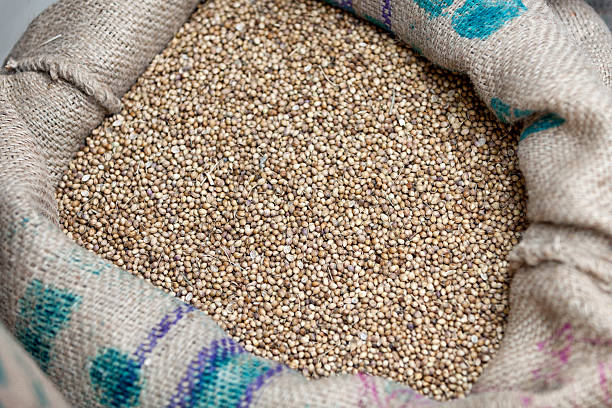 istock Bag of Mat Bean 480131656