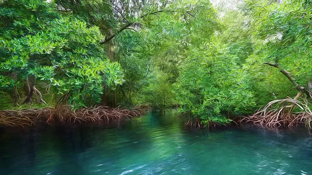 Mangrove, Los Haitises National Park, Bird Island, Dominican Republic