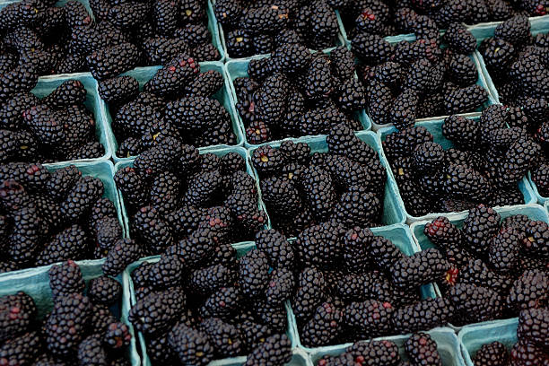 istock Blackberries in cartons ready for sale 480133470
