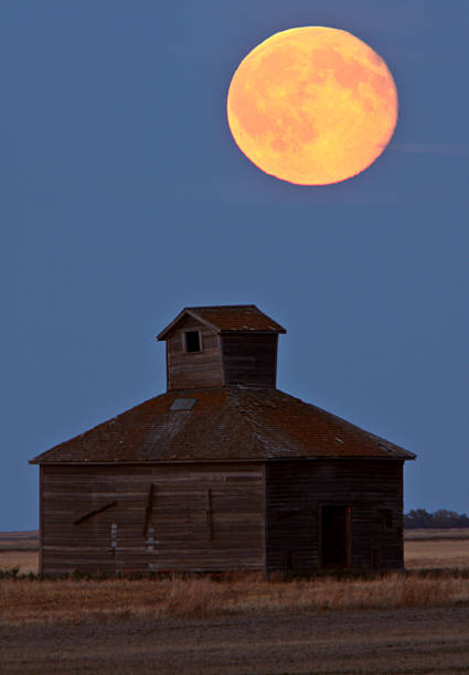 lua cheia sobre velho saskatchewan-das-chaminés - barn farm moon old imagens e fotografias de stock