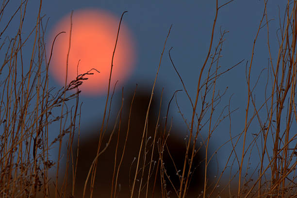 pleine lune au-dessus de vieille ferme saskatchewan - barn farm moon old photos et images de collection