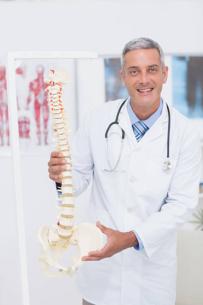 istock Happy doctor showing anatomical spine 480135850