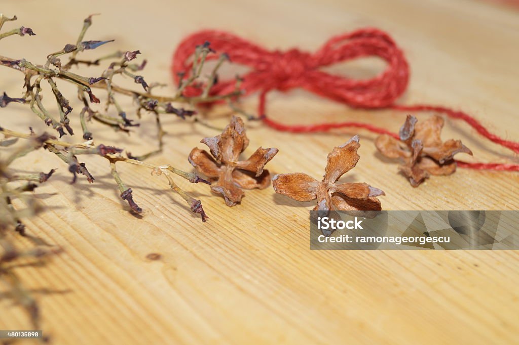 Cones enupar and bow-knot 2015 Stock Photo