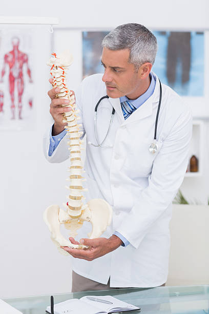 istock Doctor holding an anatomical spine 480135984