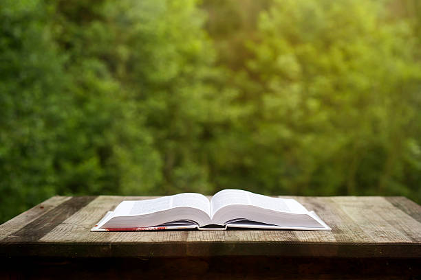 istock book on a wooden garden table 480136064