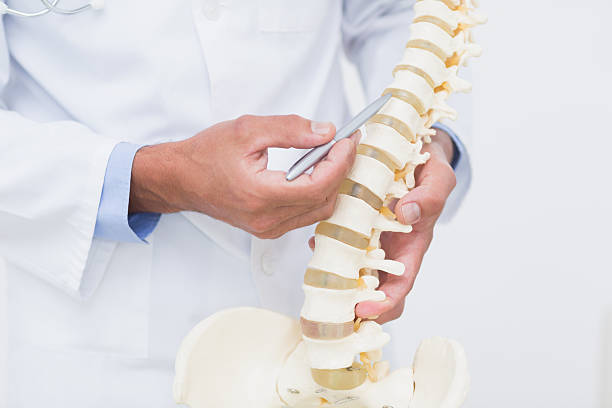 istock Doctor with anatomical spine 480136148