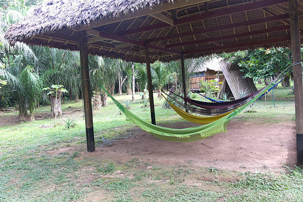 istock Tropical jungle house in Bolivia. 480136586